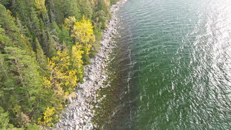 suecia - bosque colorido junto al mar turbulento y la costa rocosa, creando un hermoso paisaje de otoño - toma aérea de retroceso