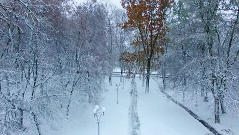 snow-covered ground and trees in the city park. drone rising above the square opening the cityscape in winter.