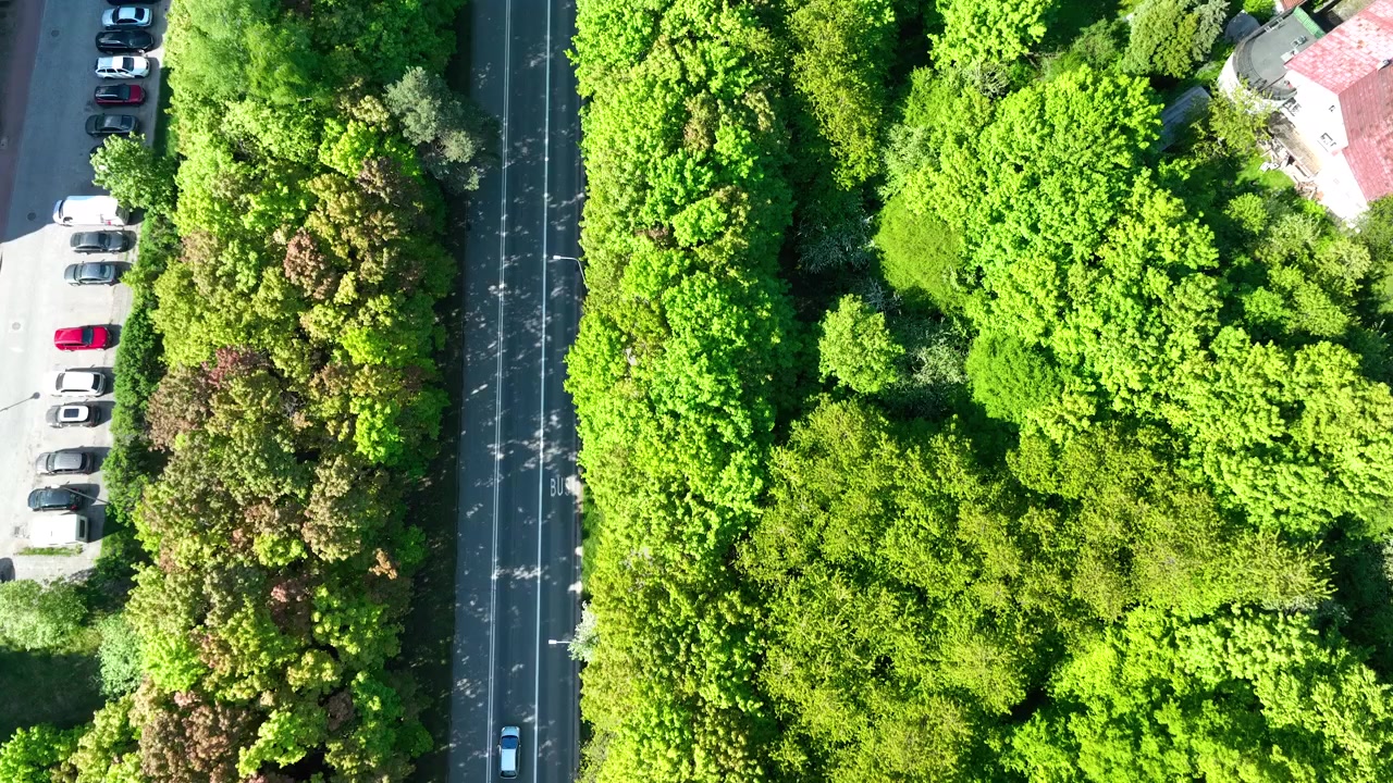 Prospettiva aerea cinematografica dall'alto di una strada asfaltata dritta che attraversa una fitta foresta verde, evidenziando la sostenibilità e la conservazione della natura.