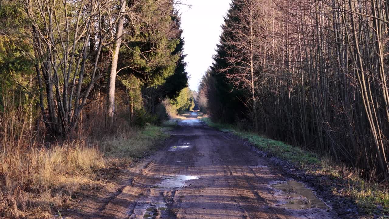 Våd, mudret vej i litauisk skov, luftfoto i fremadgående retning