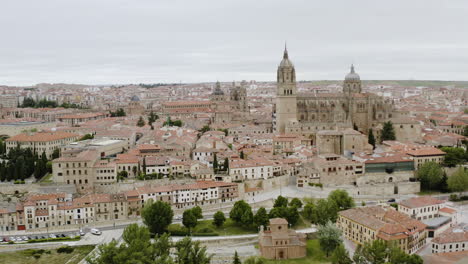 the famous salamanca cathedral at plaza de anaya in the city of salamanca, spain