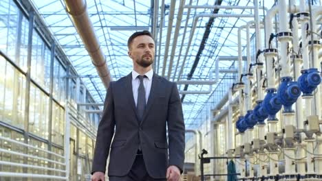 empresario masculino caminando por el pasillo del invernadero
