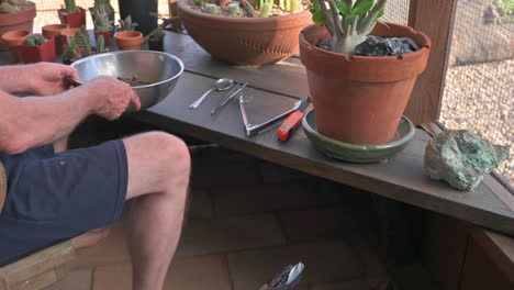 el hombre agrega tierra para macetas al tazón en preparación para trasplantar plantas de cactus