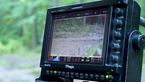 camera monitor showing person hiking in forest