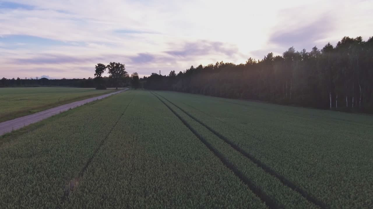 Factory Chimneys Beyond The Forest Horizon 4K Aerial Dolly In And Pedestal Up Shot