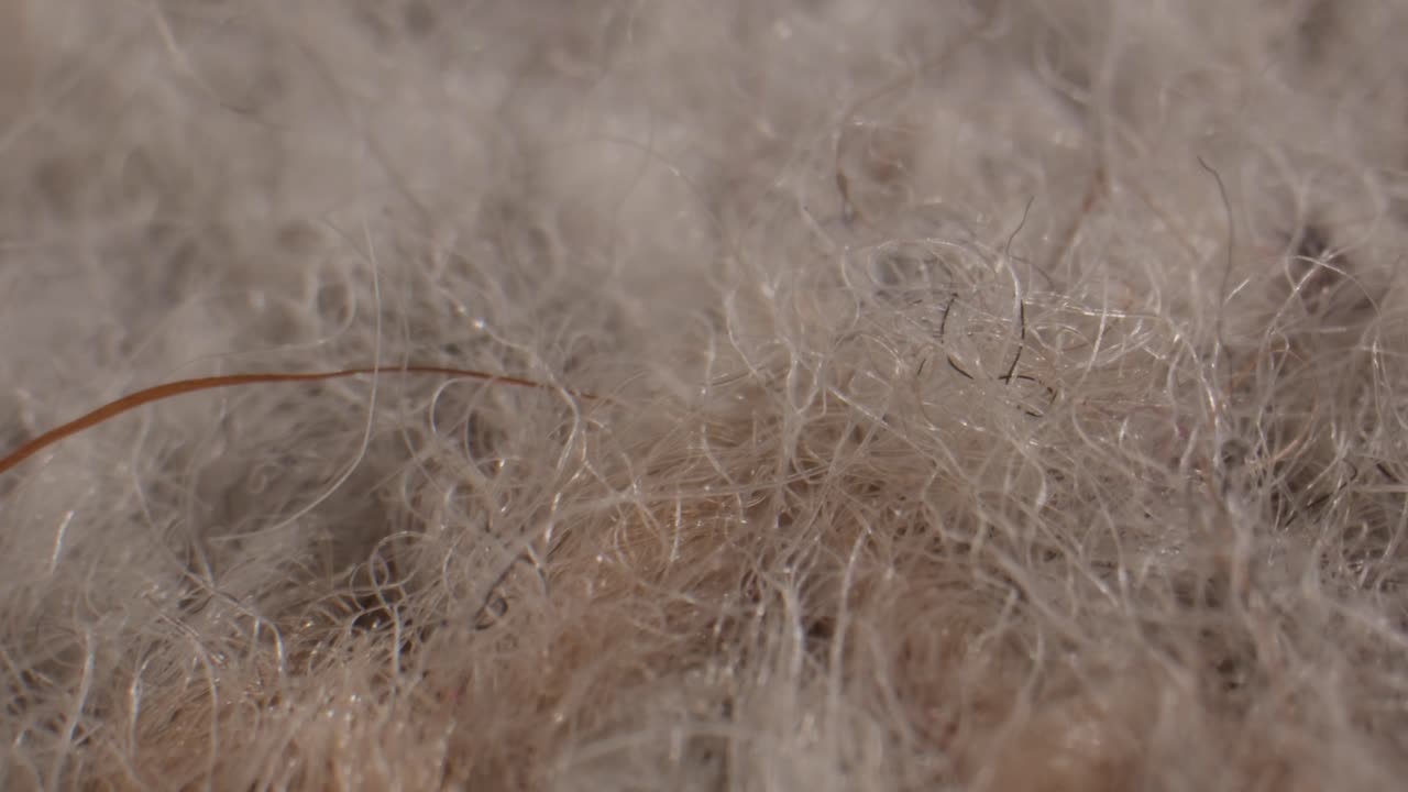 Moving Macro Shot of Beige Carpet Fibers and Dust