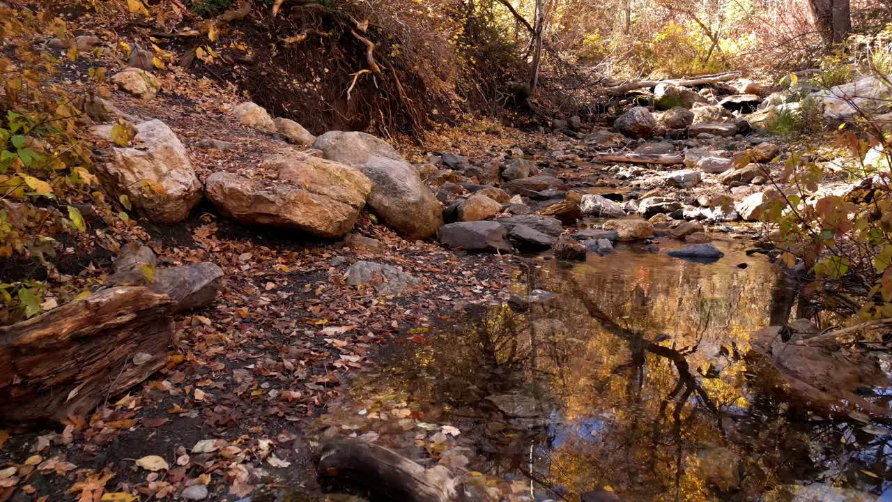 Drone terbang melintasi pepohonan musim gugur dan daun-daun oranye yang berserakan di seluruh lantai hutan, mengikuti aliran sungai kecil dengan sinar matahari yang membentuk bayangan, menghadirkan nuansa musim gugur yang syahdu