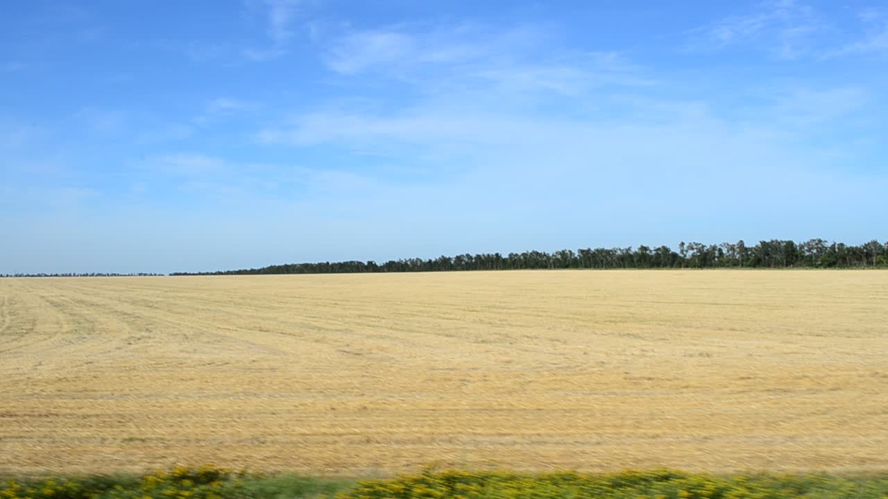 Udsigt over marken fra toget. Optagelse i bevægelse