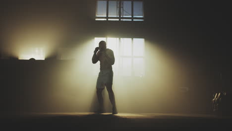 boxer training silhouette in gym