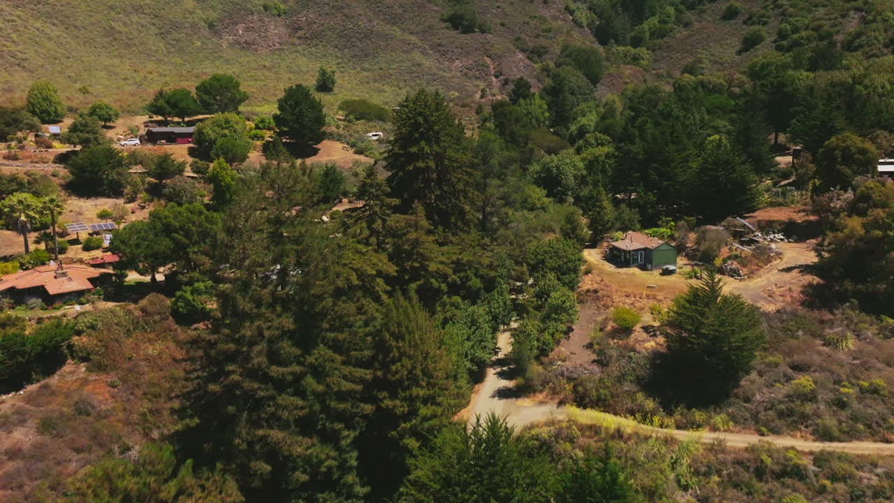 Flight above the beautiful green fir-trees and little wooden houses on sunny hot day. Village at the foot of a mountain. Top view.