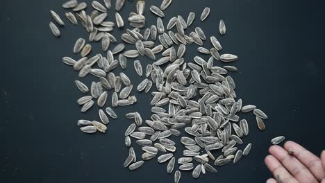 sunflower seeds on a black background