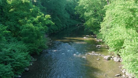 El-Agua-Tranquila-Fluye-Por-Los-árboles-En-El-Arroyo-Wissahickon