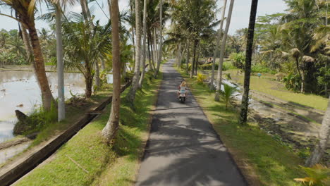 travel couple riding motorbike on tropical island with rice fields enjoying vacation road trip on motorcycle