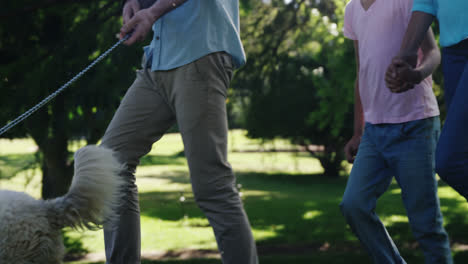 Family-walking-with-their-dog-in-the-park