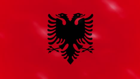 albanian dense flag fabric wavers, background loop