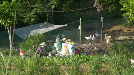 Lady-Working-in-a-Vegetable-Garden