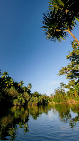 tropical river scene with palm trees and reflections