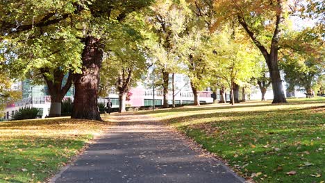 person walking through melbourne's flagstaff gardens