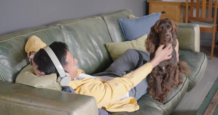Hombre asiático de mediana edad descansando en un sofá verde con auriculares; perro saltando al regazo buscando calma, siendo acariciado
