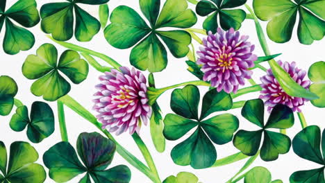 four-leaf clovers and purple clover flowers