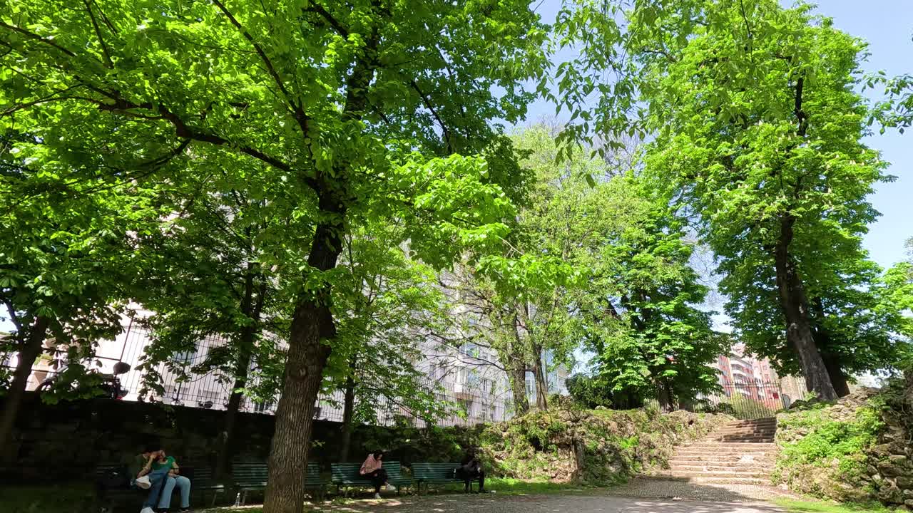 밀라노 공원 의 나무  에서 휴식 하는 사람 들