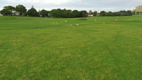 drone volando sobre la puerta