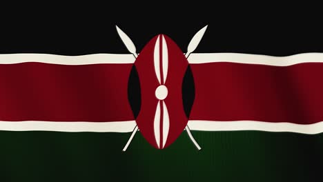 animación de la bandera de kenya agitando. pantalla completa. símbolo del país