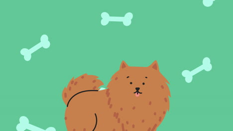 cute dog with bones animation