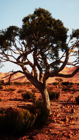 lone tree standing in nevada desert