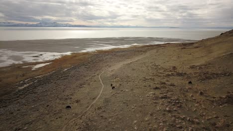 An-Einem-Kalten-Winterabend-Erkundet-Eine-Drohne-Die-Felsige-Küste-Der-Antelope-Island-Im-Großen-Salzsee-Von-Utah