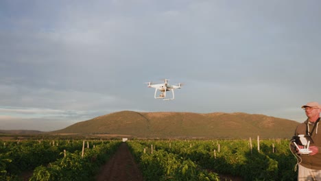 4k view of a farmer monitoring his crops with a drone on a large scale vegetable farm