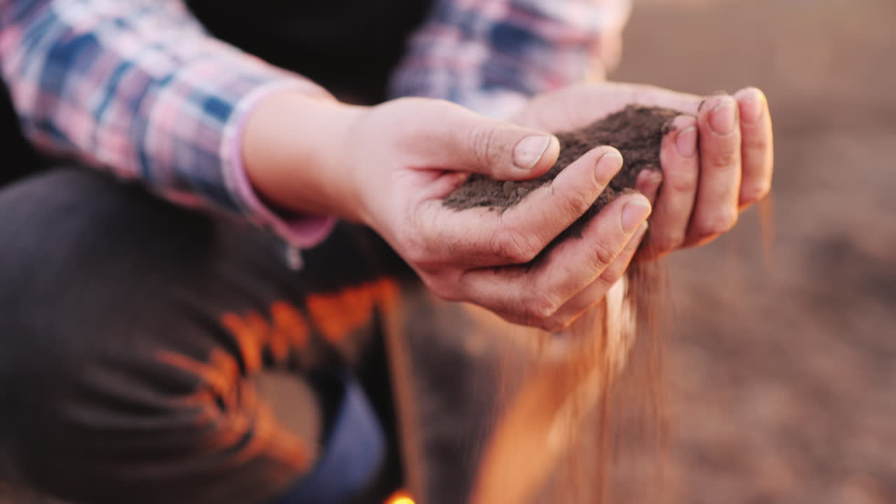 manos jóvenes de una agricultora sostienen suelo negro al comienzo del trabajo de primavera en la granja orgánica de campo