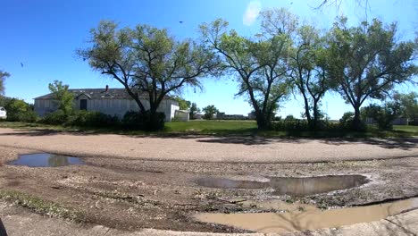 SLOW-MOTION---Birds-flying-in-the-sky-over-trees-in-a-yard-outside-a-old-abandoned-building