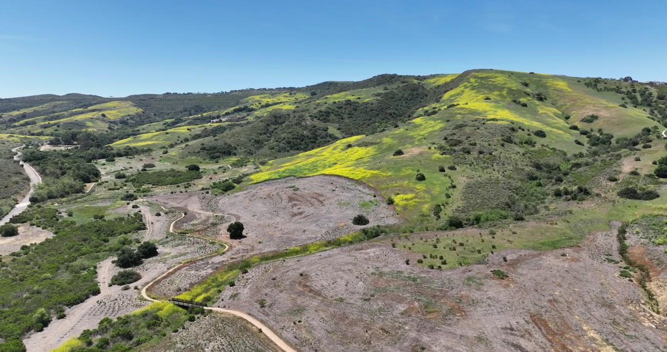 Veduta aerea di verdi colline primaverili e sentieri a Shady Canyon, Irvine, California, ripresa con fluide immagini cinematografiche da drone.