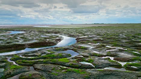 cracked mud flats in a salt marsh