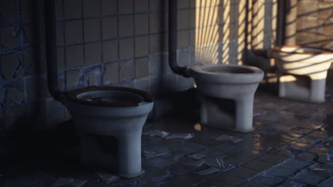 abandoned restroom with sunlight