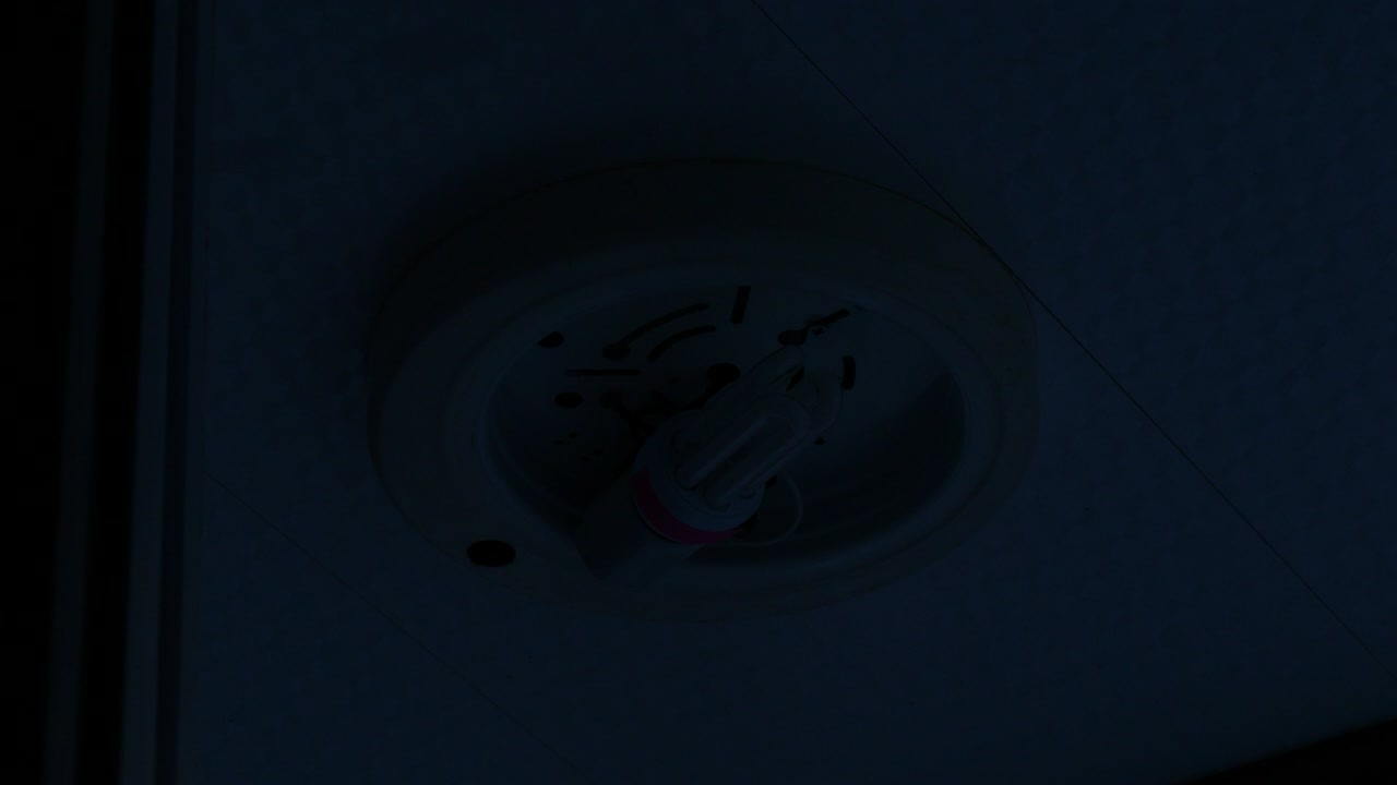 enciende la luz del techo.