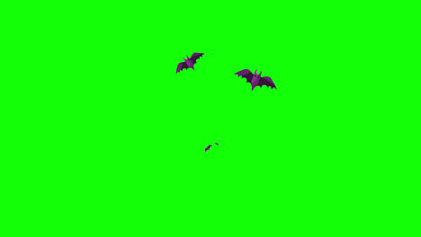 Halloween-Fledermaus-Fliegenschleife,-Bewegungsgrafikvideo,-Transparenter-Hintergrund-Mit-Alphakanal