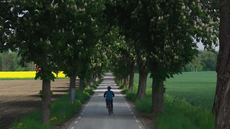 El-Hombre-Atlético-Hace-Ejercicios-Y-Anda-En-Bicicleta-A-Lo-Largo-De-Un-Sendero-Sombreado-Bajo-árboles-Con-Flores-Blancas