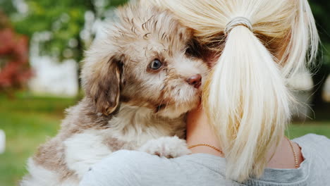 woman cuddling cute puppies