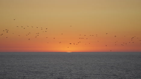 vista aérea de la superficie de agua ondulada del mar al atardecer