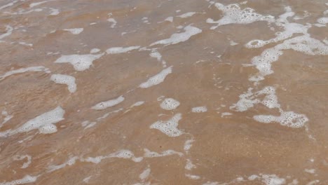 beautiful nature of clean beach and sea wave