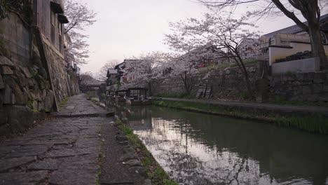 peaceful spring sunset in omihachiman, shiga