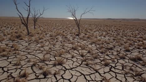 dry, cracked earth landscape with dead trees