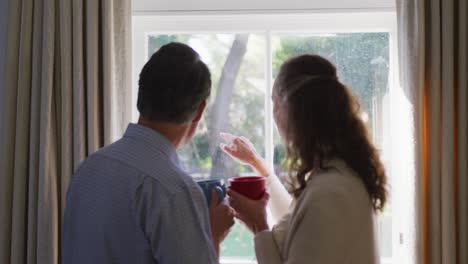 rear view of senior caucasian couple looking out of window in living room, having coffee and talking