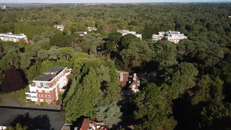fotografía aérea de las propiedades forestales modernas