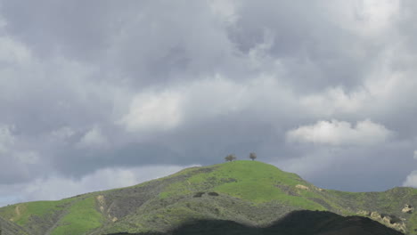 fast time lapse of a developing storm over two trees above ventura california