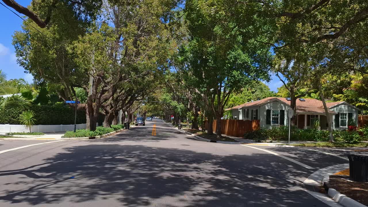 Quiet residential neighborhood with leafy trees arching over the street and cozy houses