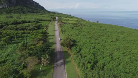 drone shot of car driving along forest road