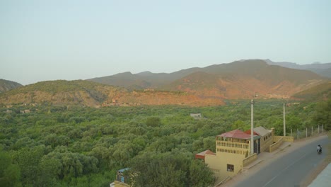 frondosos árboles verdes y cordillera en la zona rural de jerusalén en israel